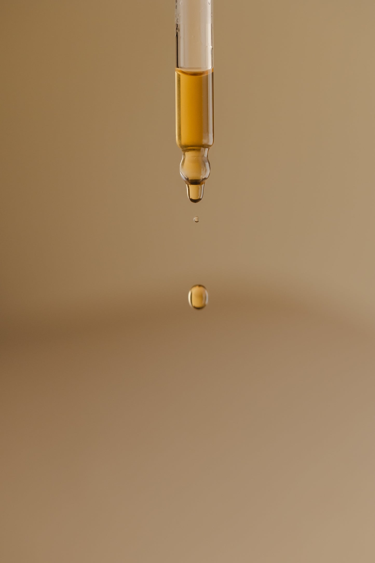 Melena de León - Claridad, Foco & Memoria