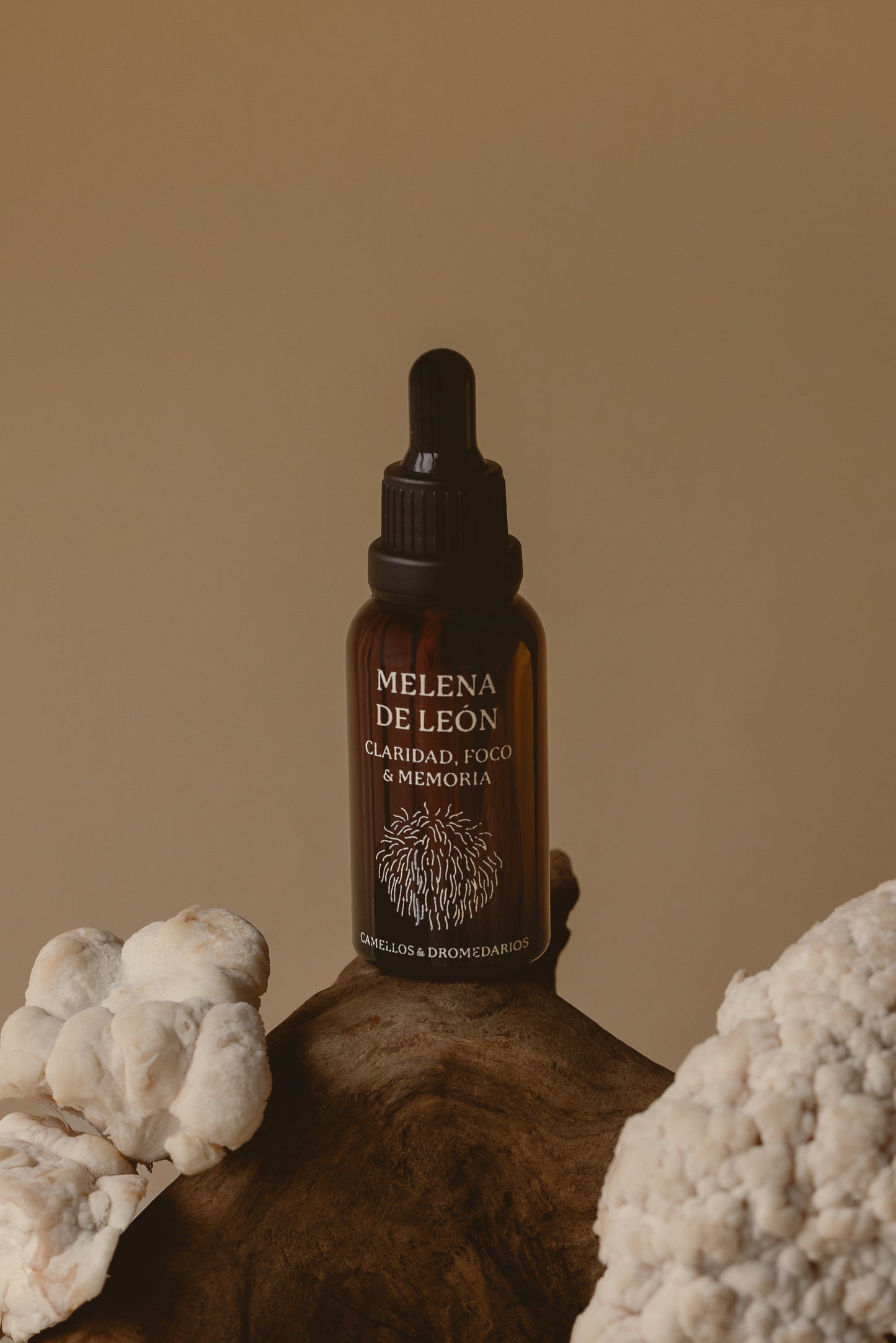 Melena de León - Claridad, Foco & Memoria