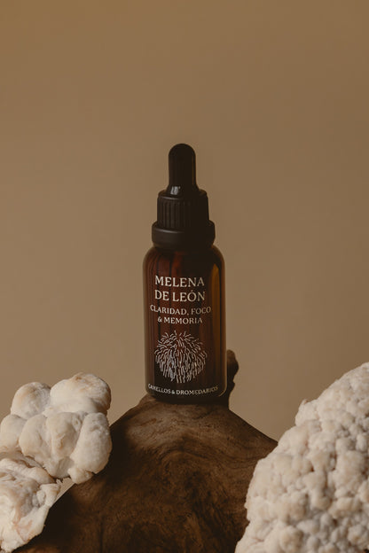 Melena de León - Claridad, Foco & Memoria