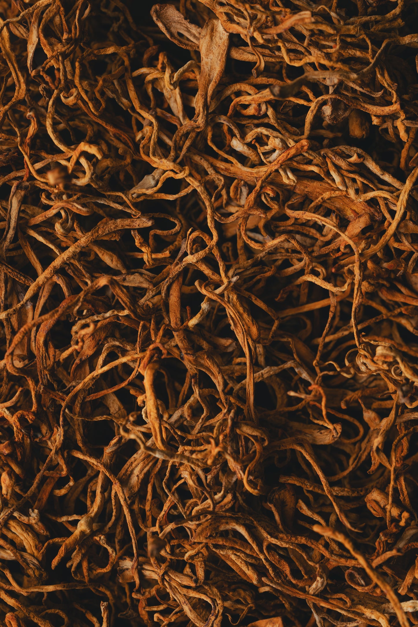 Cordyceps - Energía, Fuerza & Libido