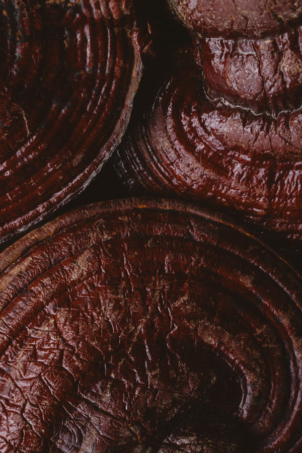 Reishi - Relajación, Calma & Sueño - Vista alternativa