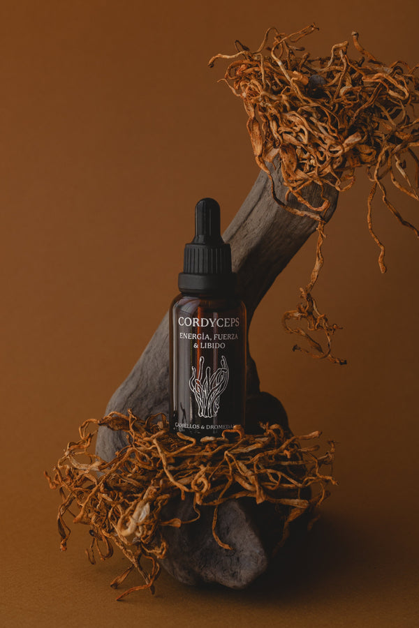 Cordyceps - Energía, Fuerza & Libido